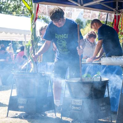 Gulasfestbaska0048